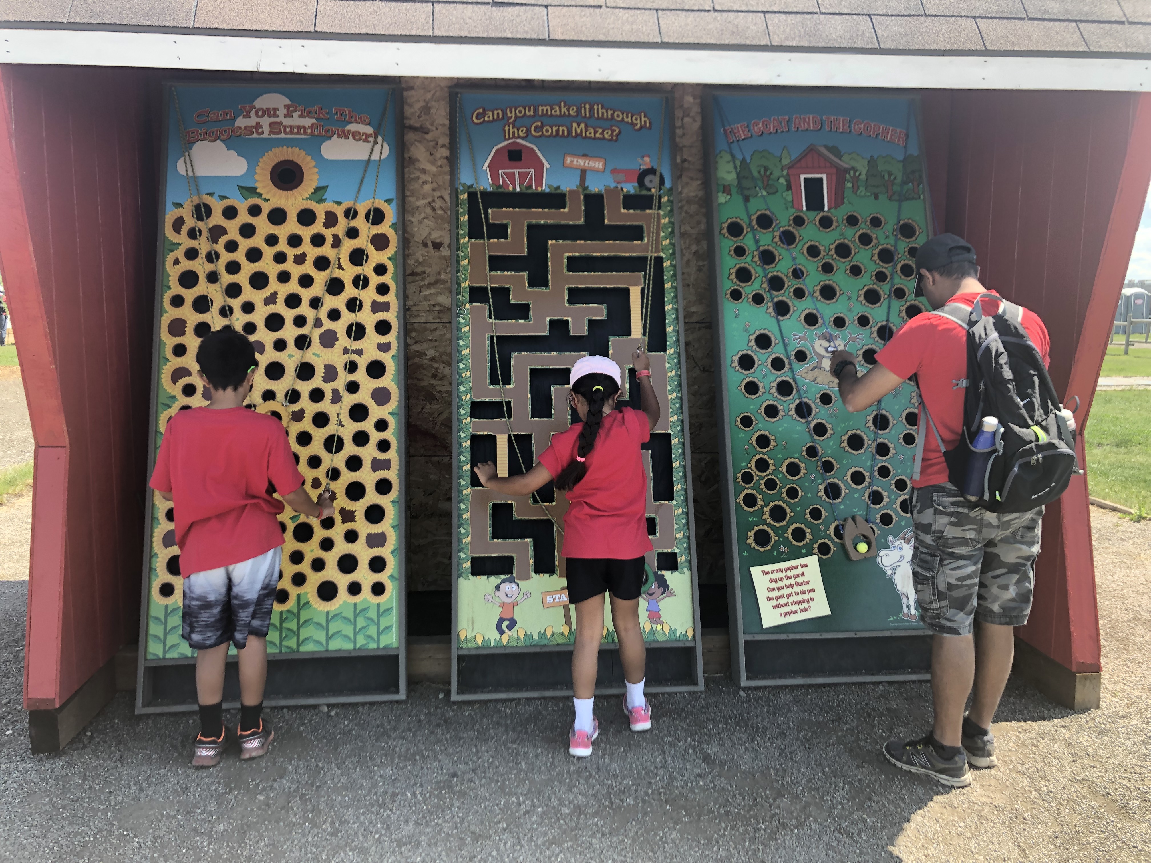 Family playing Wall Ball puzzles at the Calgary Farmyard outside Calgary.