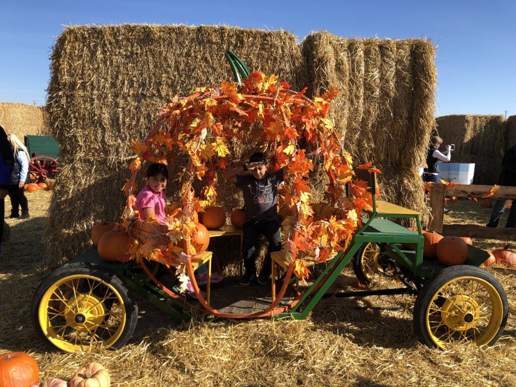 Children in a pumpkin carriage at the Calgary Farmyard.