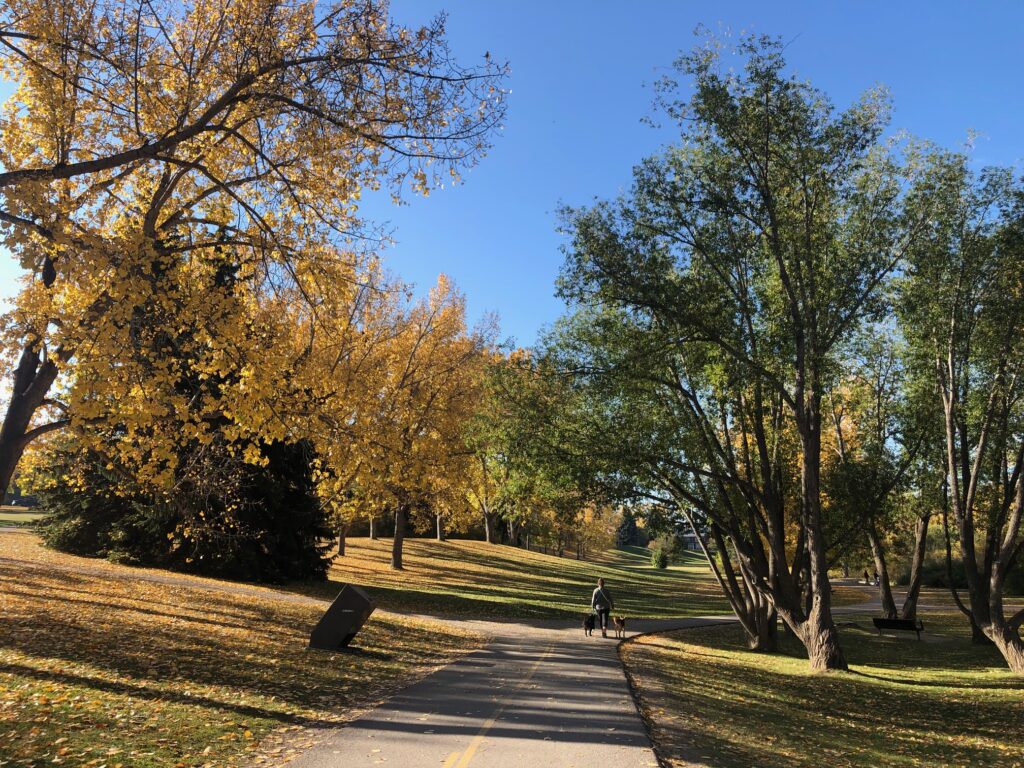 Walking path in fall in Confederation Park in Calgary.