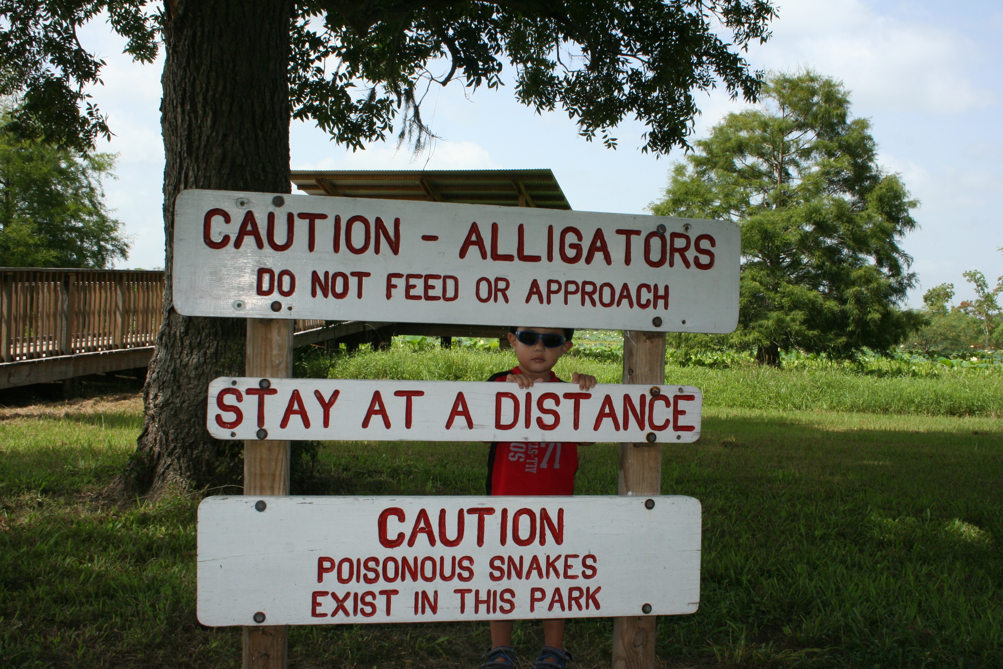 Alligator warning sign at Brazos Bend State Park.