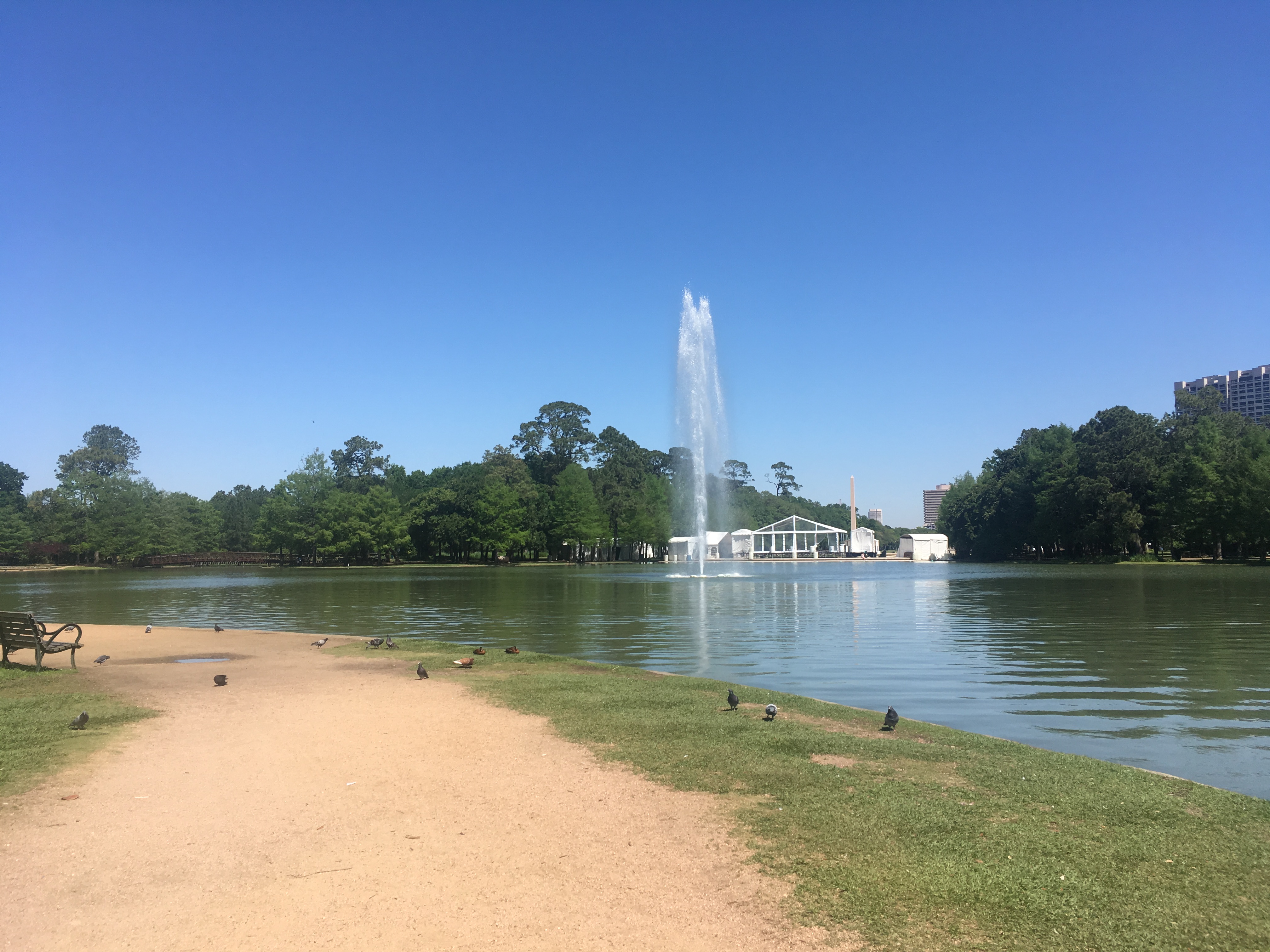 Places to go with kids: fountains in Hermann Park in Houston.