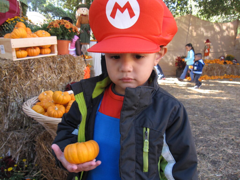 Child holding pumpkin at Zoo Boo at Houston Zoo.