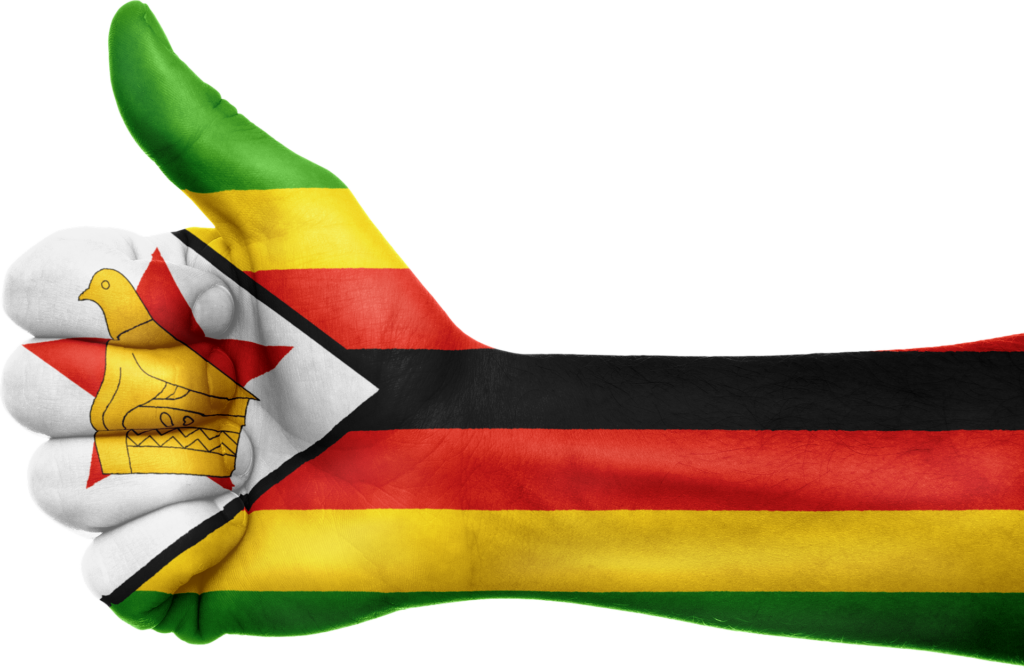 Red, black, yellow, green strips of the Zimbabwean flag painted on an arm with a thumbs up.