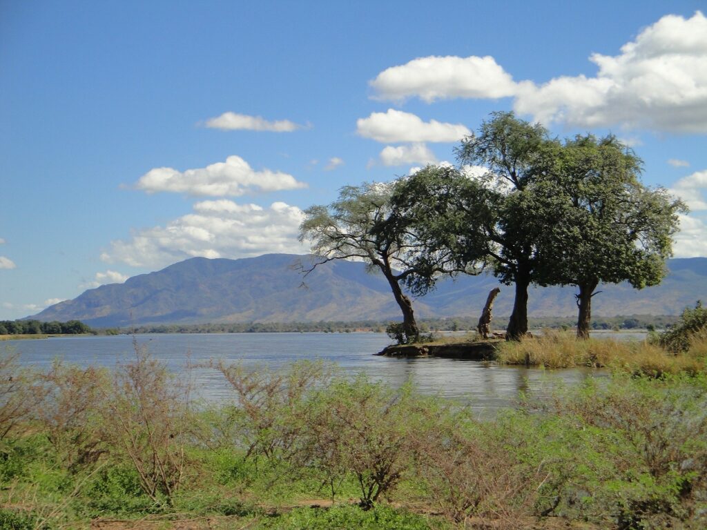 Green trees next to a lake in Zambia with mountains in the background