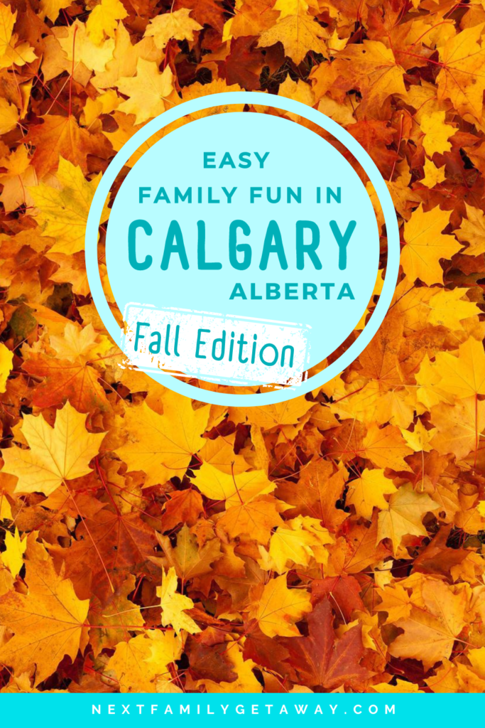 A bed of orange fall leaves with text overlay about family fun in Calgary.