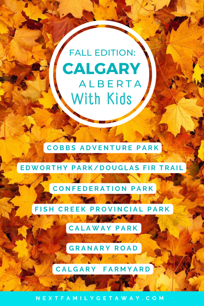 Bed of orange fall leaves with text list of things to do in Calgary in autumn.