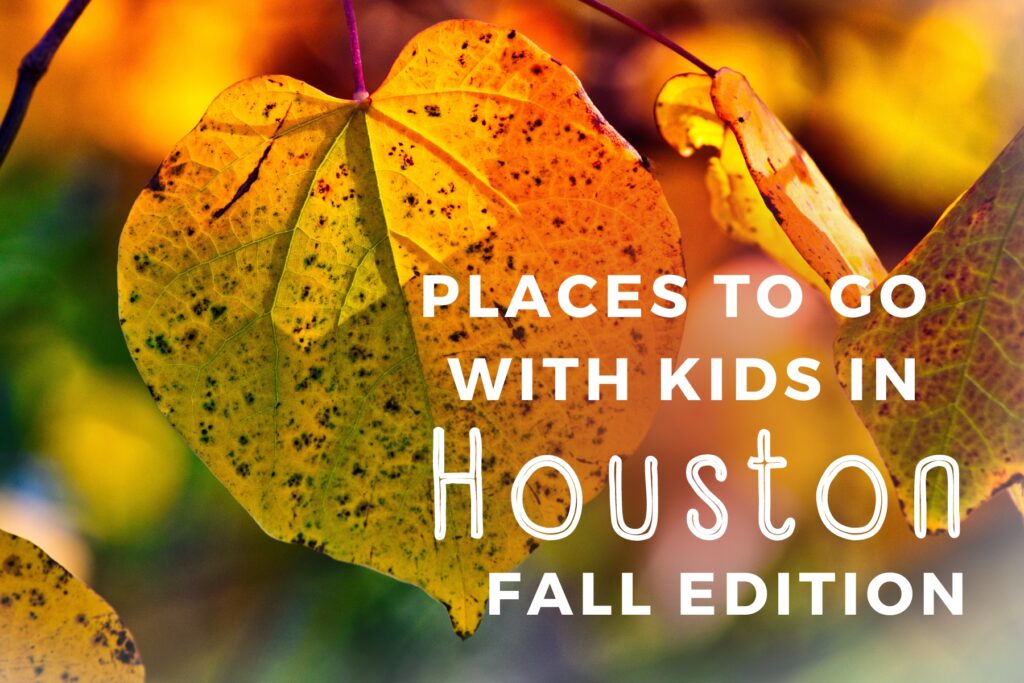 Close up of golden fall leaf with text overlay places to go with kids in Houston.