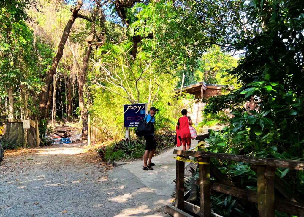 Two people entering path by sign indicating Foxy's Bar this way surrounded by green rainforest.