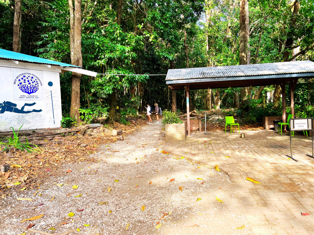 Path entrance between a building and outdoor shelter leading into rainforest.