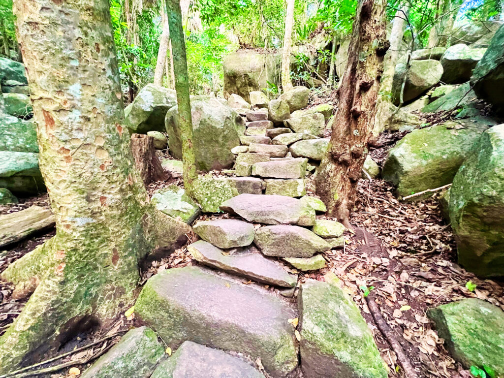 Medium and small boulders places uphill as steps through rainforest.