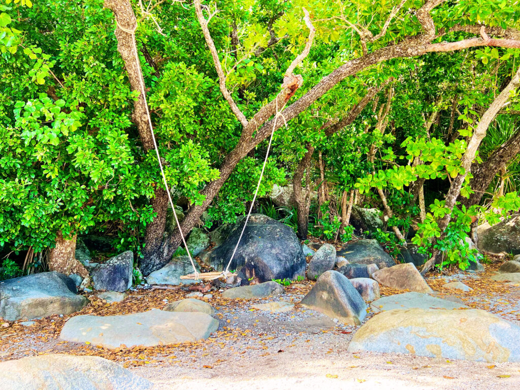 Swing hanging from rope attached to trees over rocks and sand on beach.