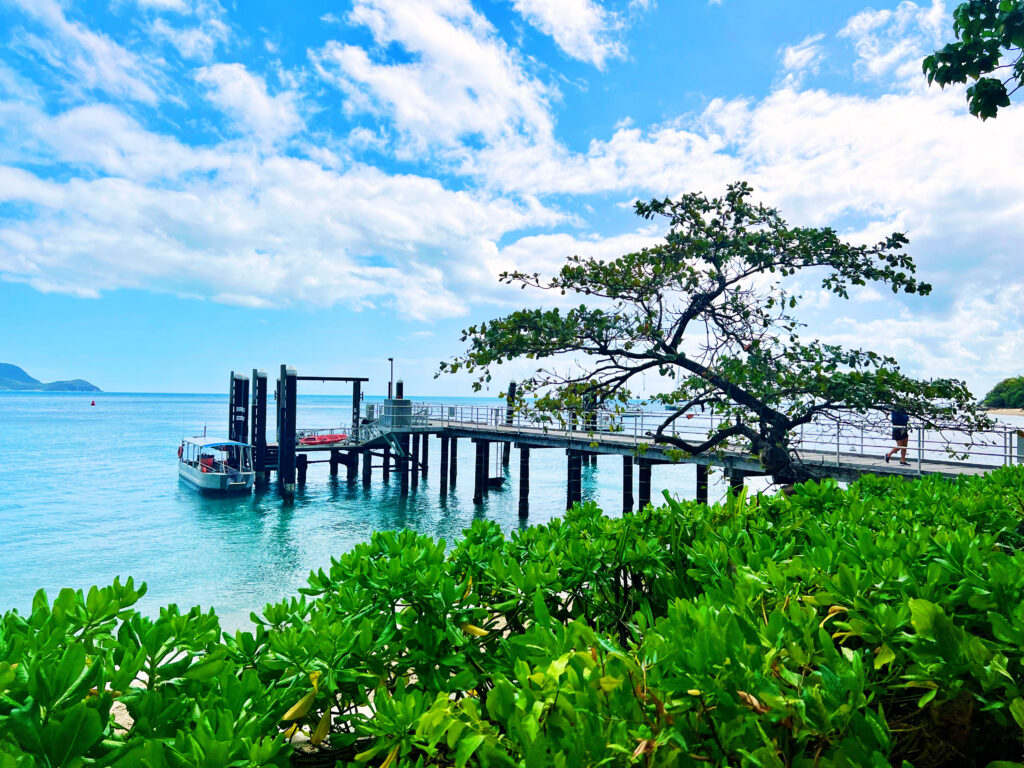 Greenery in foreground with dock extending over turquoise sea.