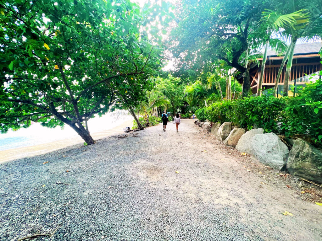 Two people walking down a wide path next to the beach surrounded by trees.