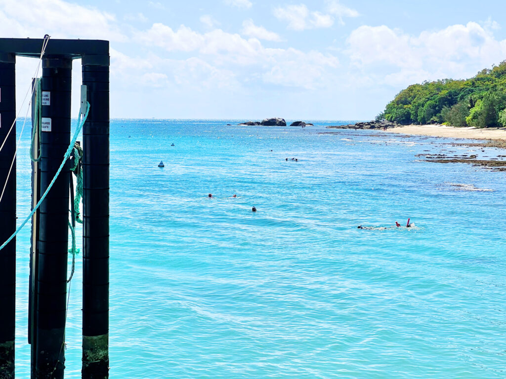 Snorklers in blue ocean near beach.