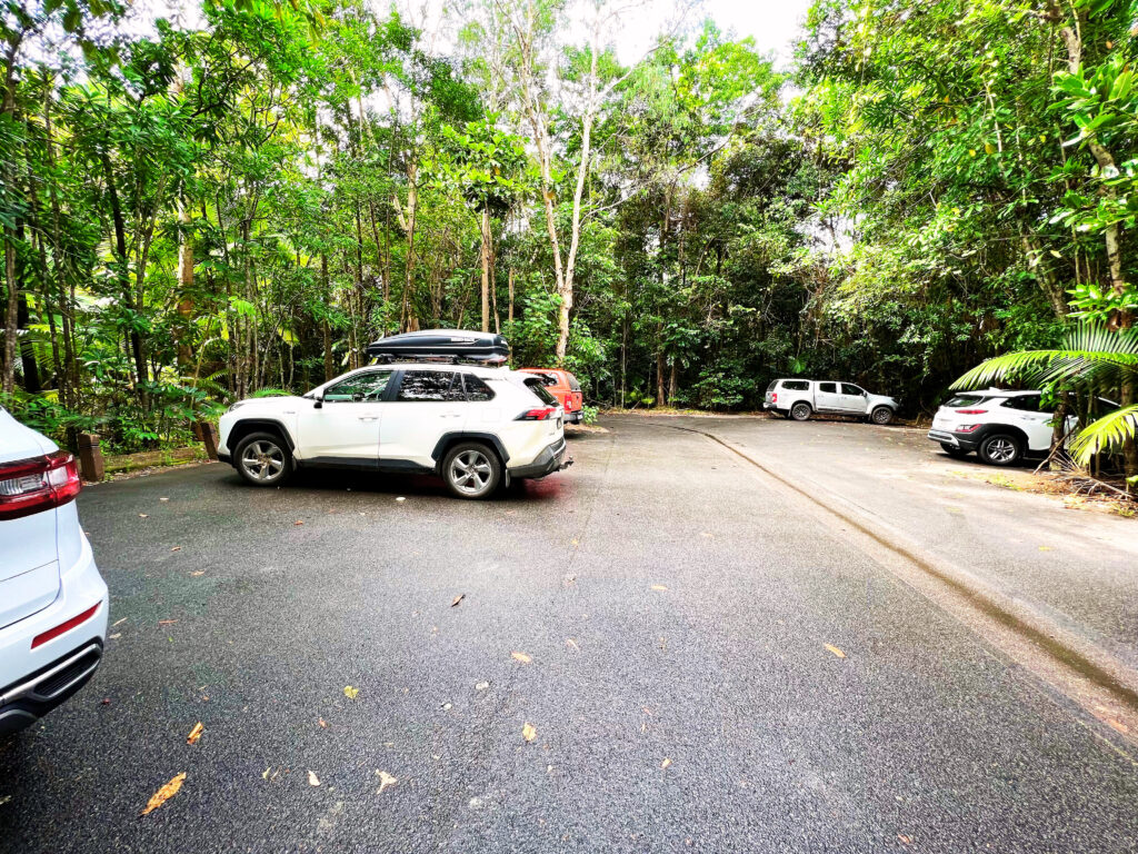 Car park in center of rainforest.