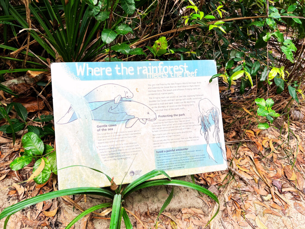 Info board about fan palm trees on display on rainforest boardwalk.