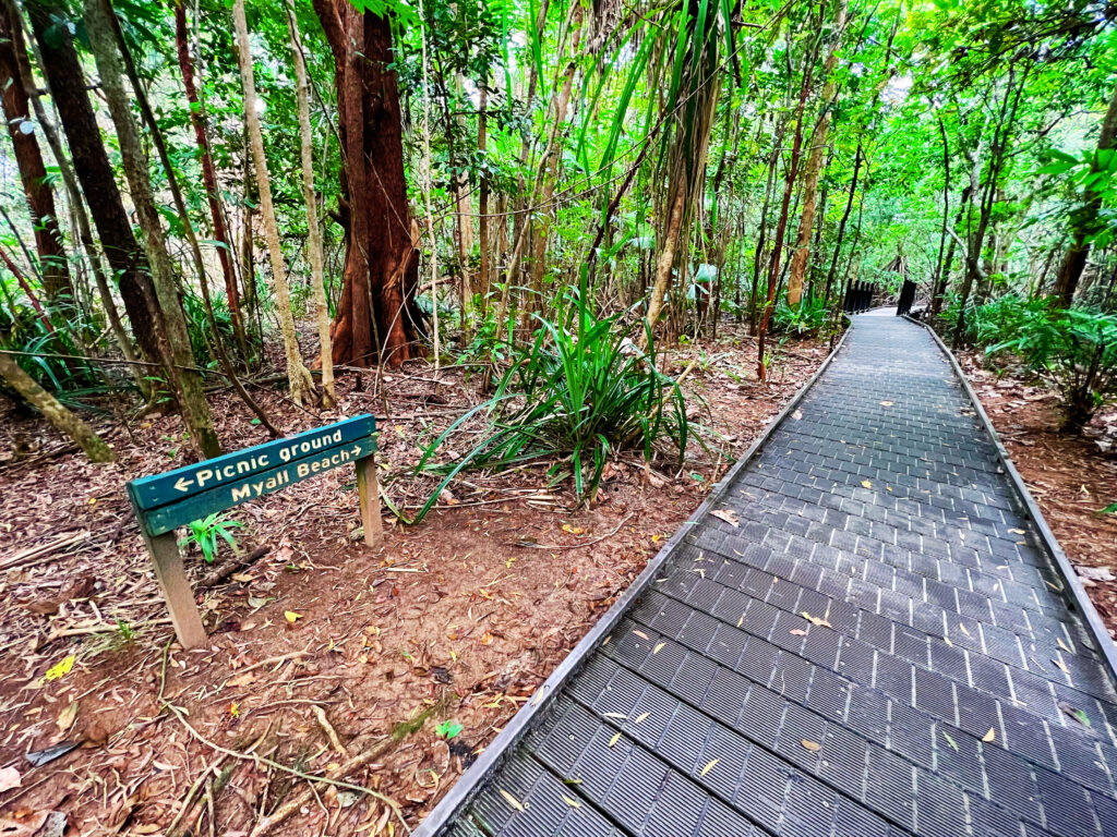 Sign next to boardwalk cutting through rainforest.