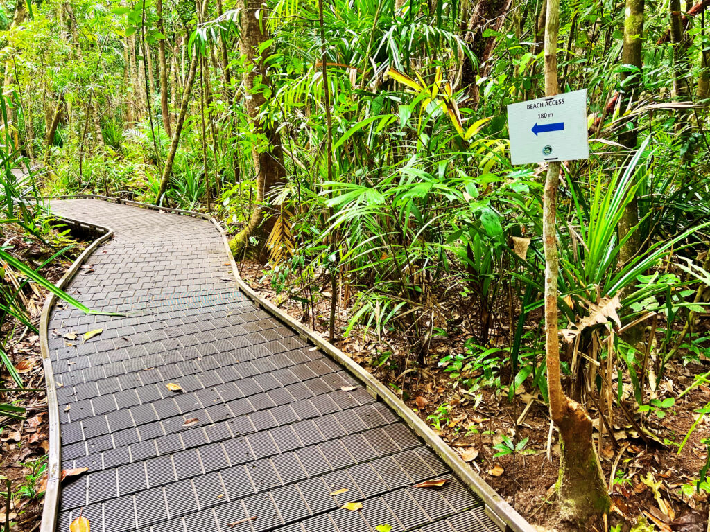 Sign next to boardwalk cutting through rainforest.