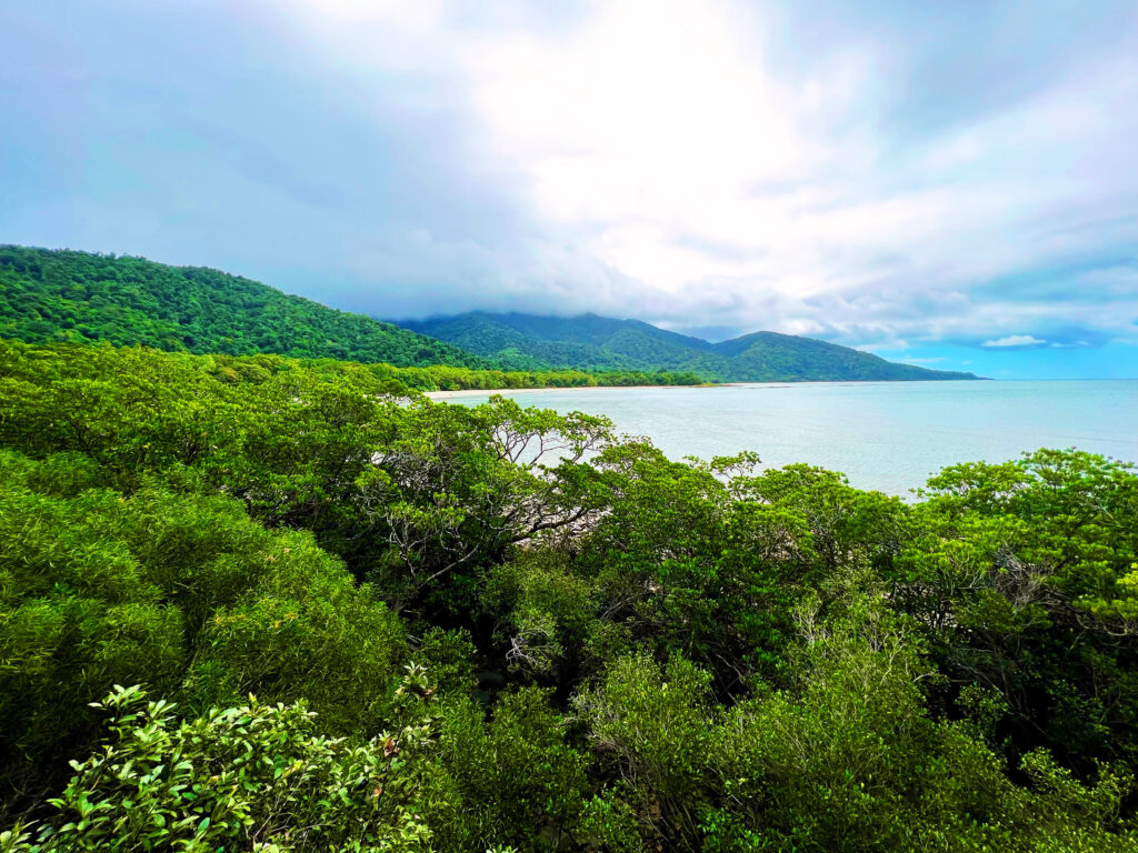 Viewpoint looking towards dense green jungle sloping into sea.