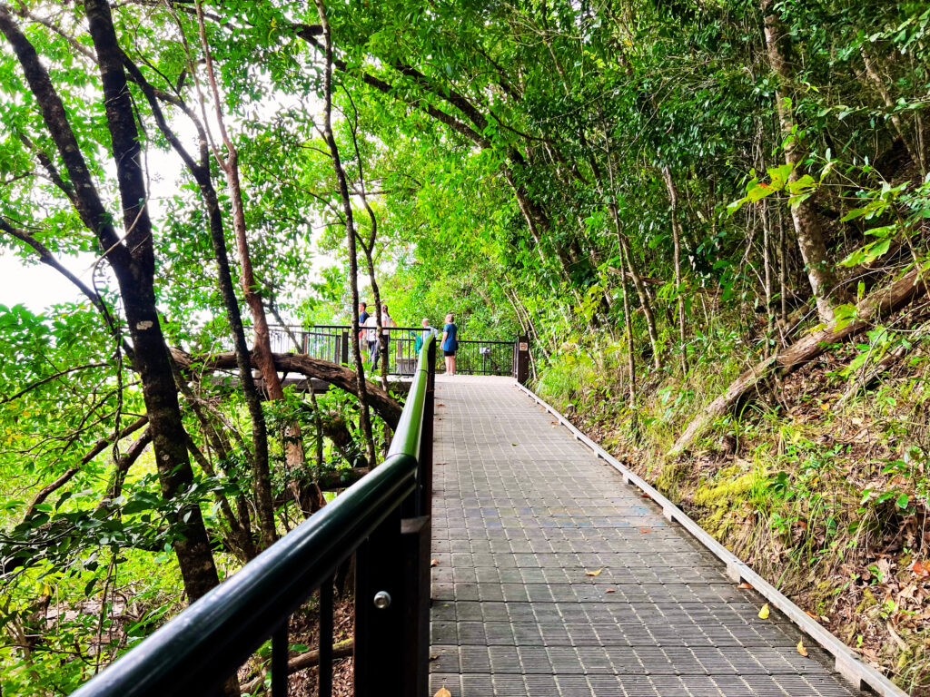 Pathway through jungle leading upwards to a lookout.