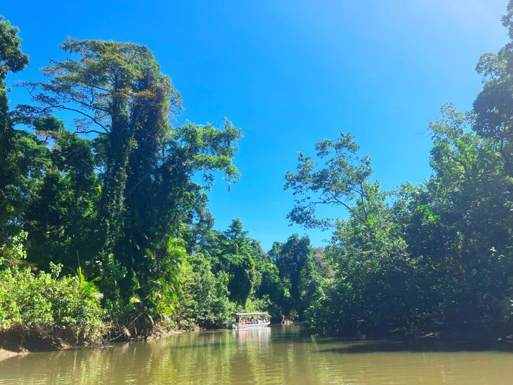 Tour boat on the green Daintree River.