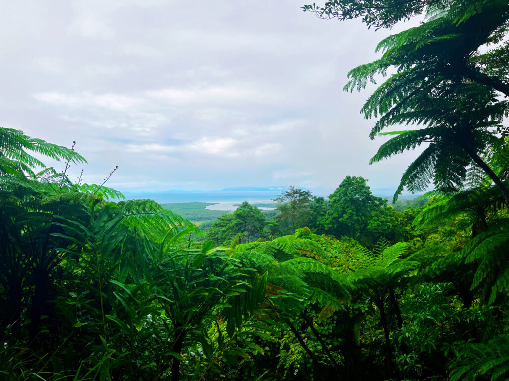 The view from Mt. Alexandra Lookout over green fields towards the ocean.