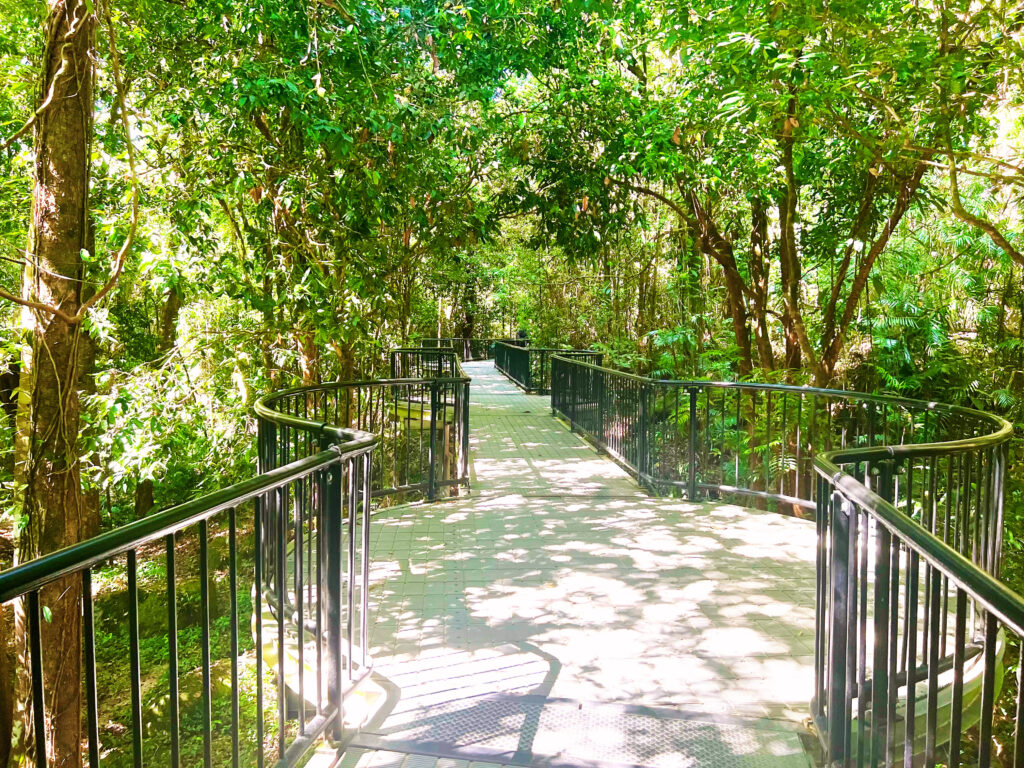 Raised platform pathway through tall green trees.