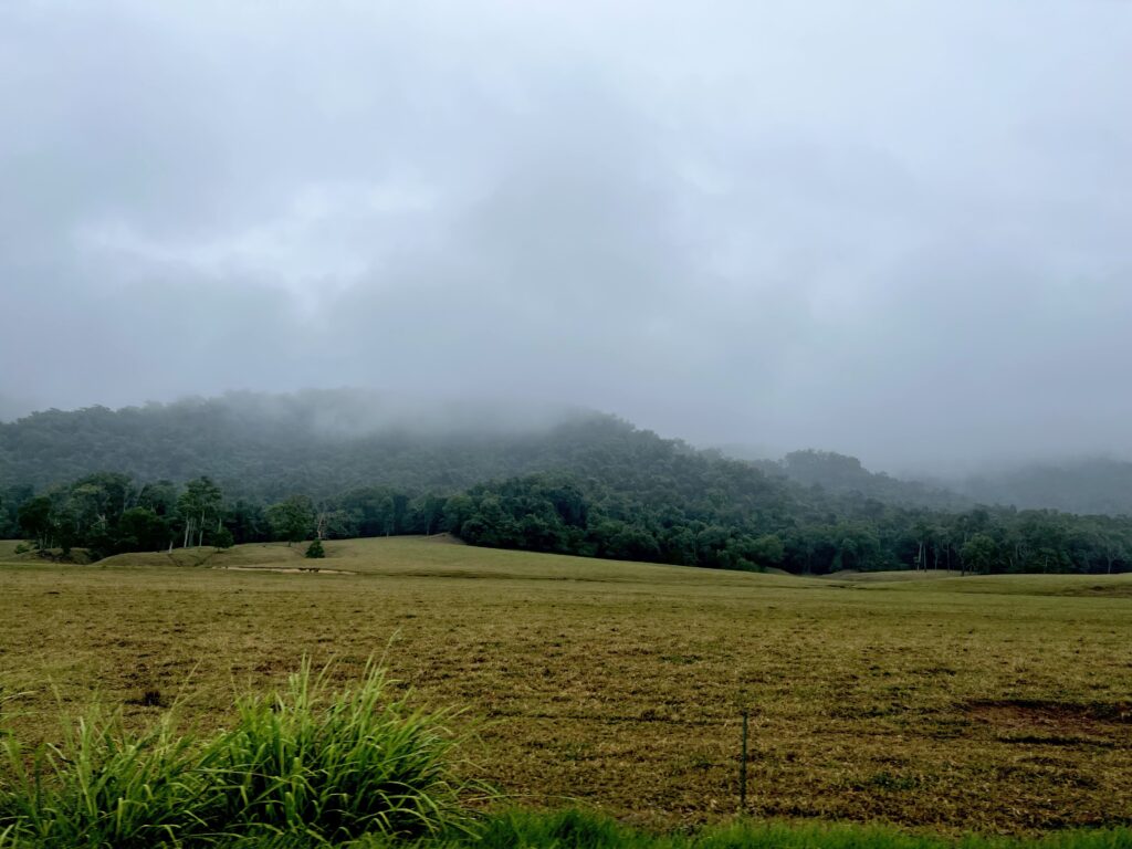 Looking across a green field at green hills obscured partially by low clouds and mist.