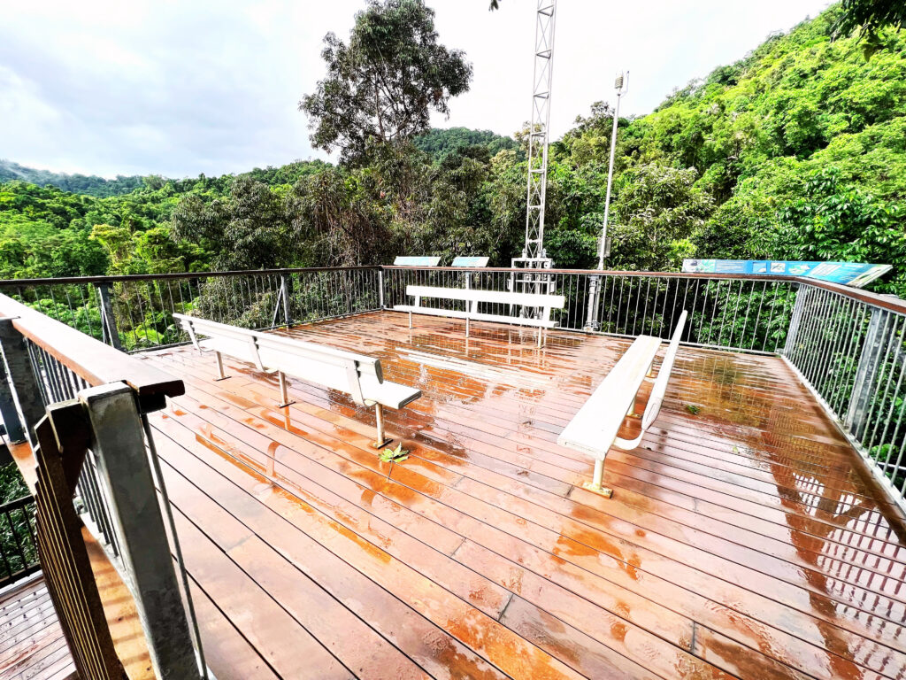 Wet wooded viewing platform with benches surrounded by rainforest.