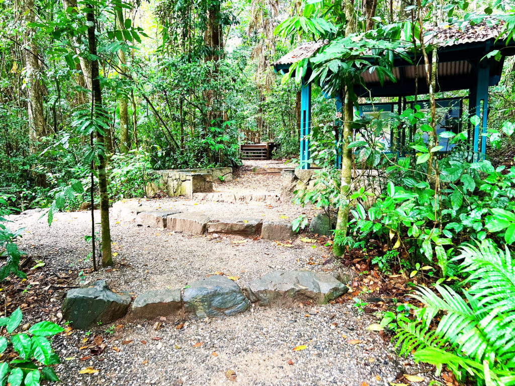 Steps leading to a covered enclosure in the rainforest.