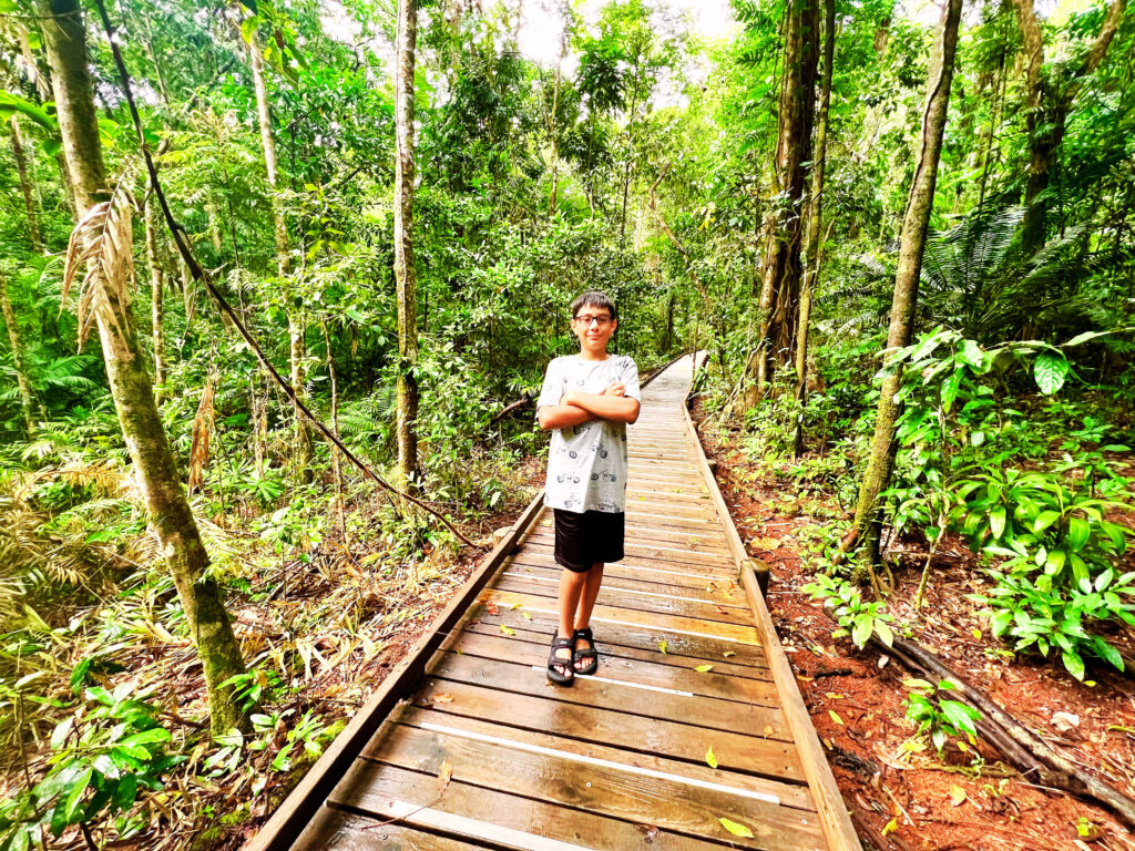 Boy standing on wooded boardwalk in the rainforest.