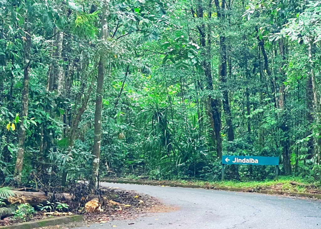 Road in Daintree Rainforest with sign indicating Jindalba boardwalk this way.