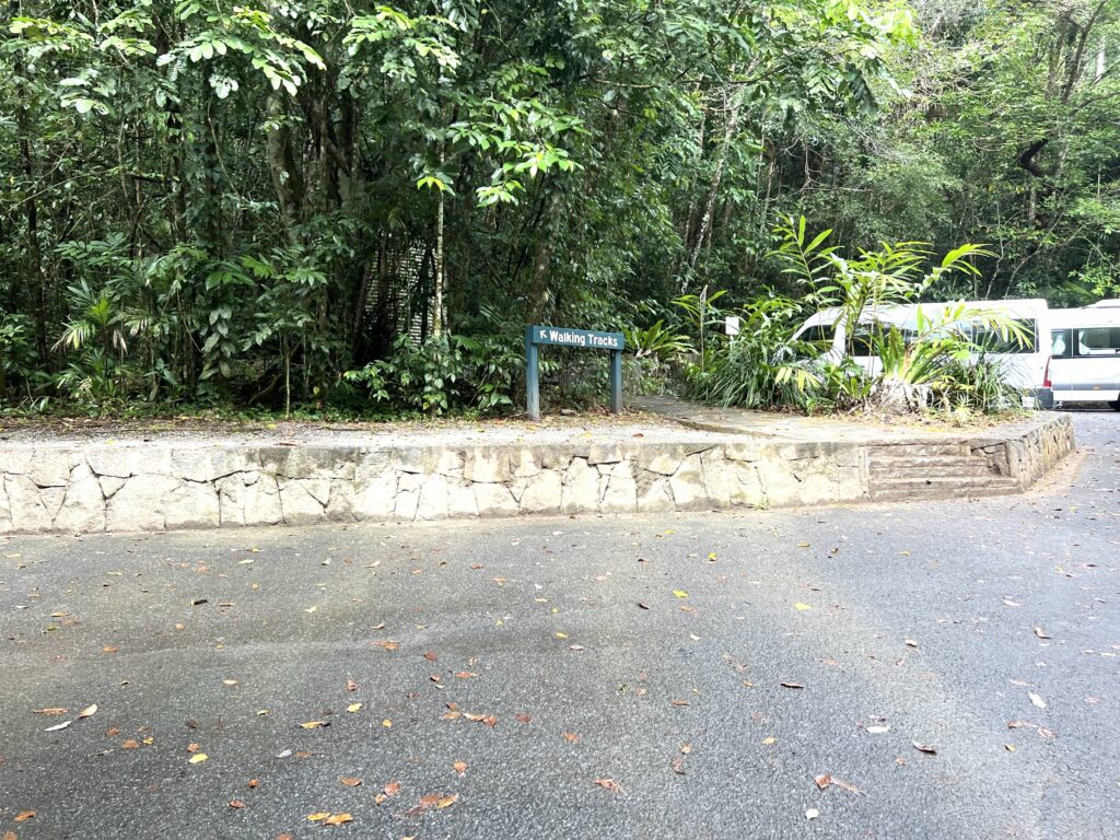 Looking across a parking lot to a walking trail in the rainforest.
