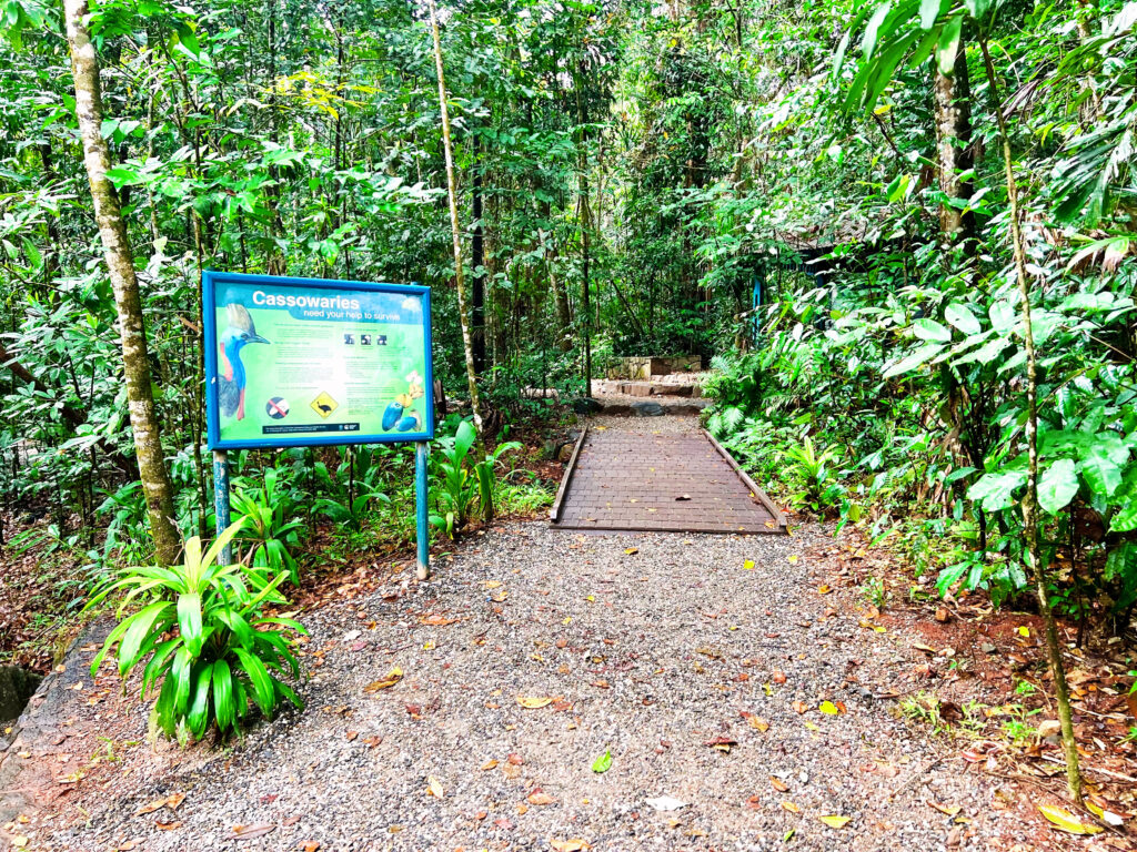 Entrance to a wooden boardwalk that enters rainforest.