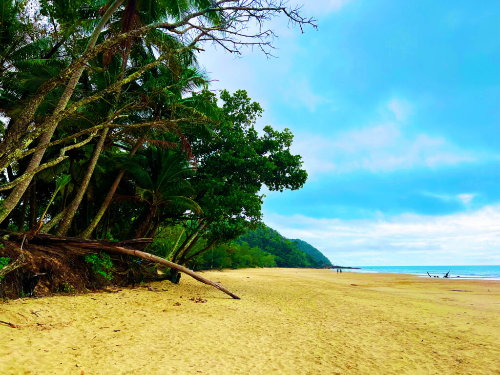 Sandy beach with encroaching rainforest on left and ocean on left.