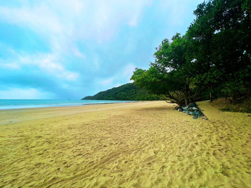 Sandy beach with encroaching rainforest on left and ocean on right.