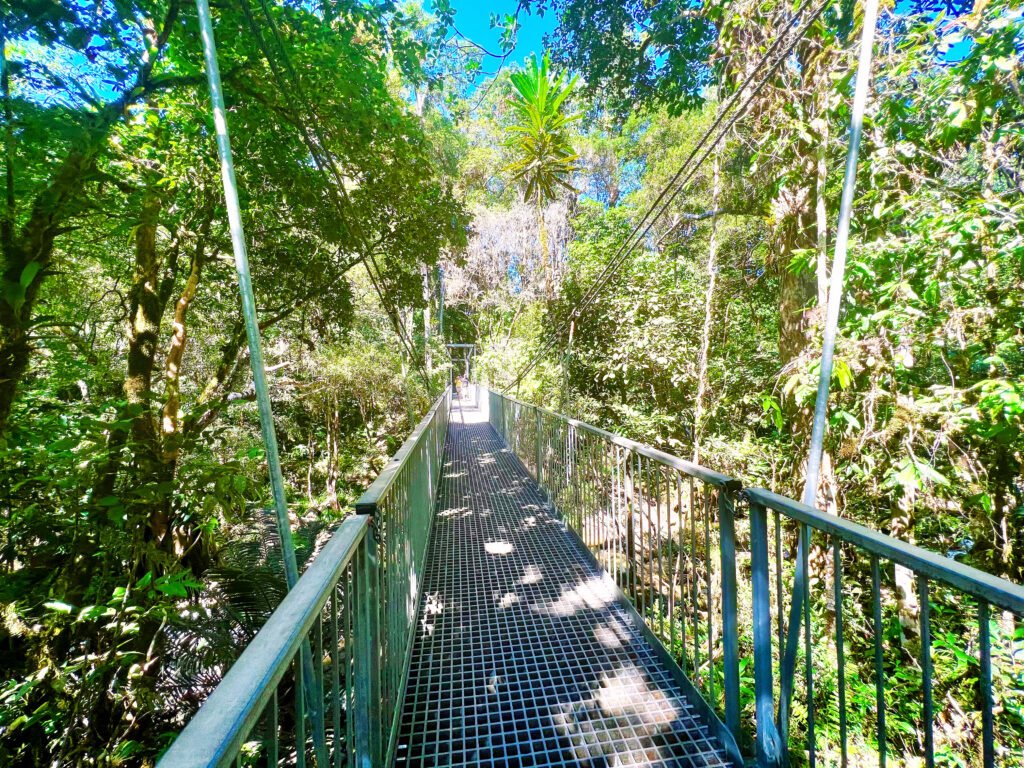 Metal suspension bridge extended over a river.