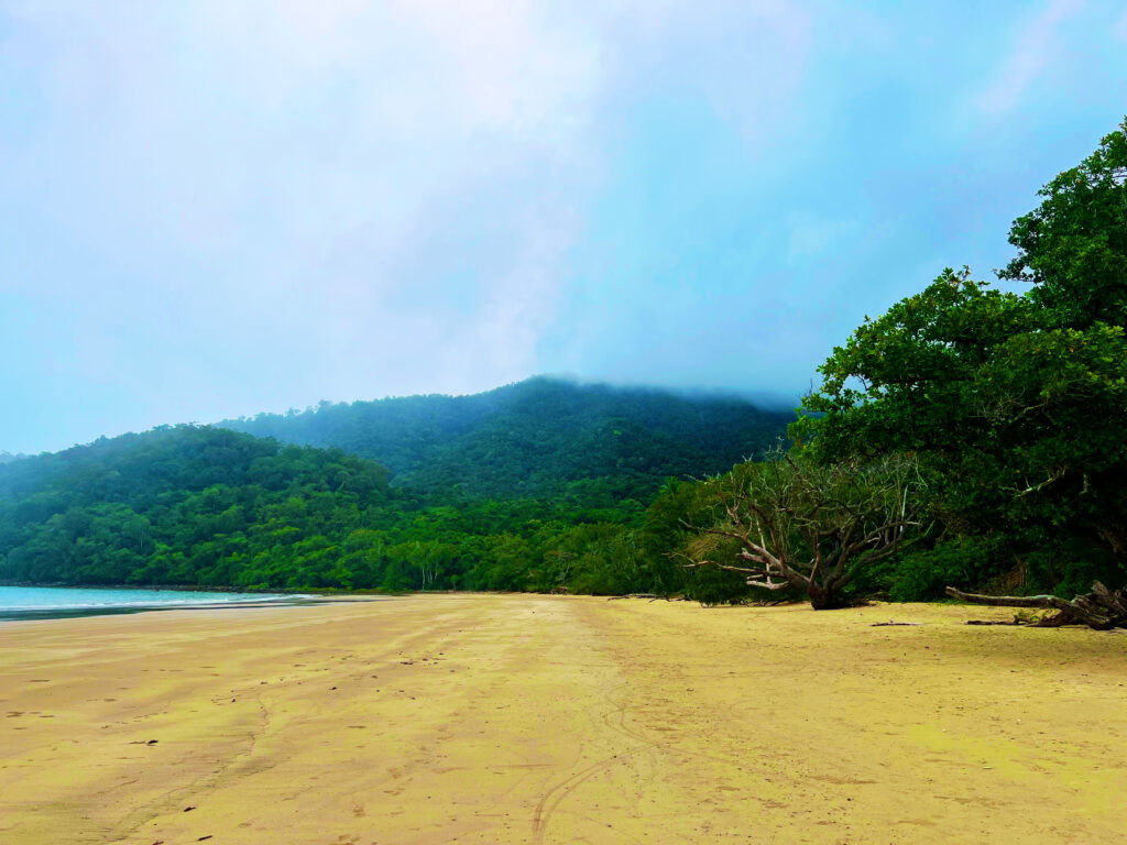 Wide golden beach with rainforest covered hills in background.