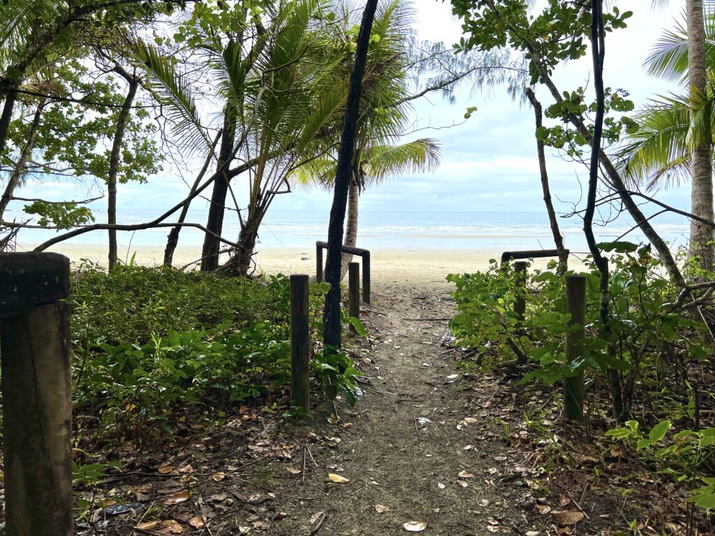 Dirt path descending through rainforest towards beach.