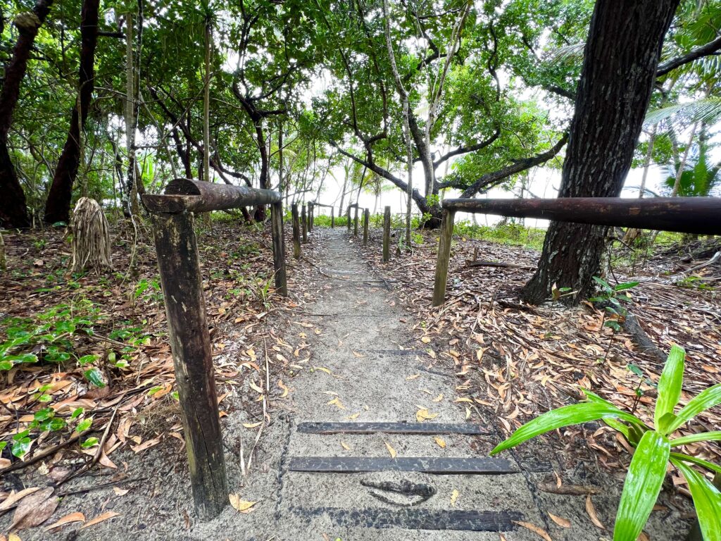 Stairs descending through rainforest to beach.