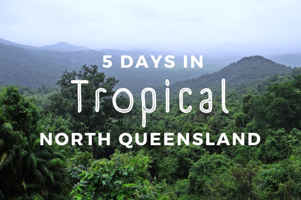 Looking out over a hilly rainforest vista with text overlay that says 5 days in Tropical North Queensland.