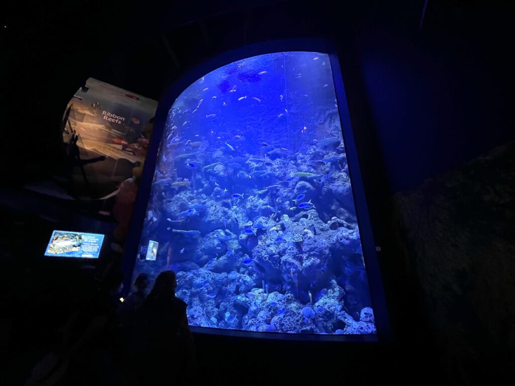 Large ceiling height glass window looking into aquarium with blue light.