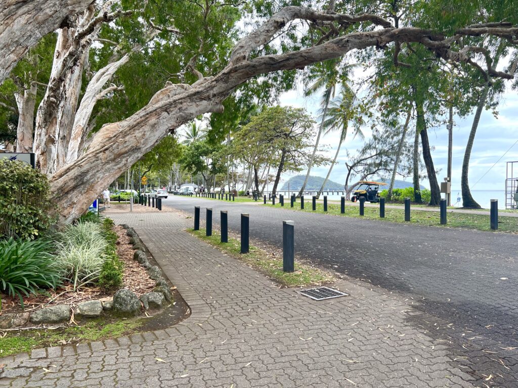 Brick walkway next to paved street beneath large trees.