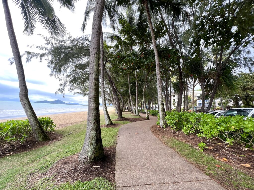 Walkway winding through palm trees next to beach.