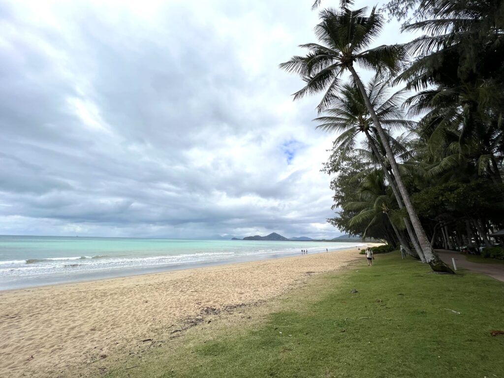 Beach and palm trees beneath cloudy skies.