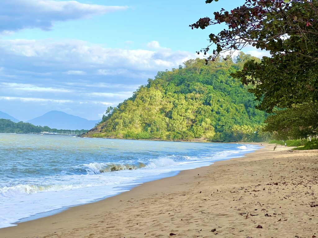 Ocean lapping onto golden sandy beach with green jungle behind it.