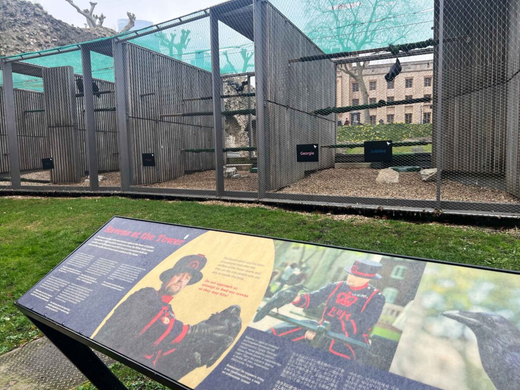 A placard overlooking cages holding black ravens.