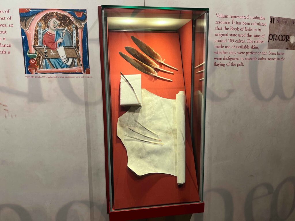 Display case with quill pens and calfskin manuscript.