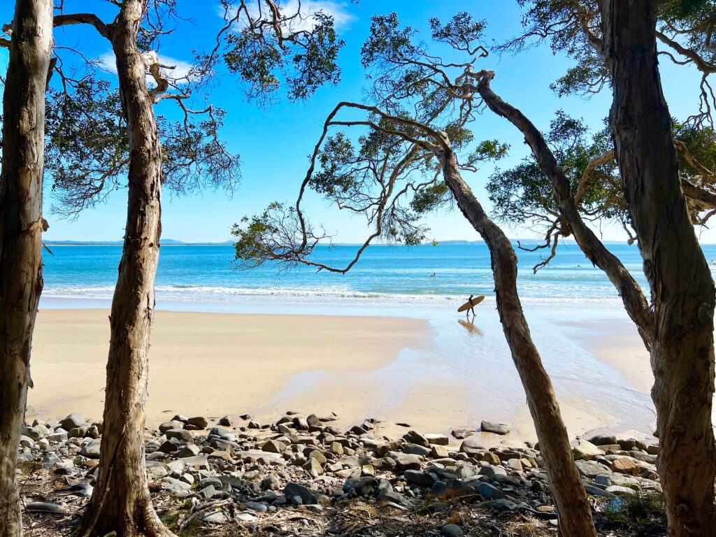 Looking from trees and rocks to flat beach where surfer walks carrying his board next to the incoming ocean at one of the most beautiful beaches in the world.